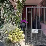 La Gatta Viola * ستريزا