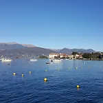 La Gatta Viola * ستريزا