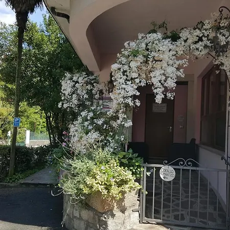 La Gatta Viola Apartamento *