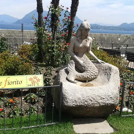 Daire La Gatta Viola