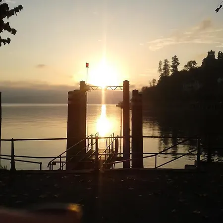 La Gatta Viola * Stresa