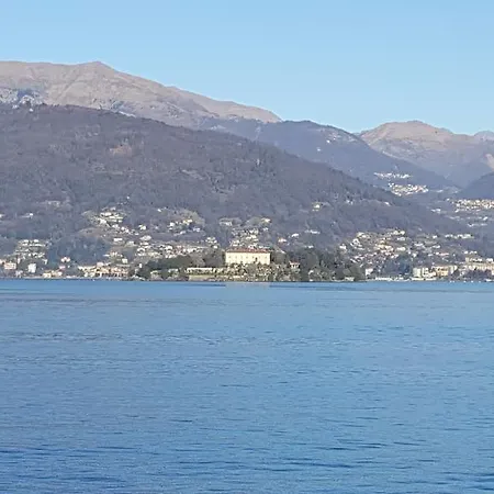 La Gatta Viola *