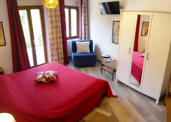 La Gatta Viola * סטרסה