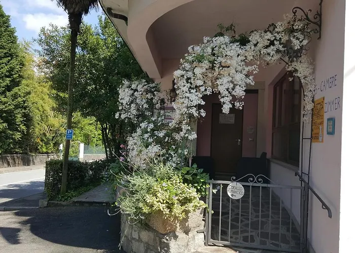 La Gatta Viola דירה *