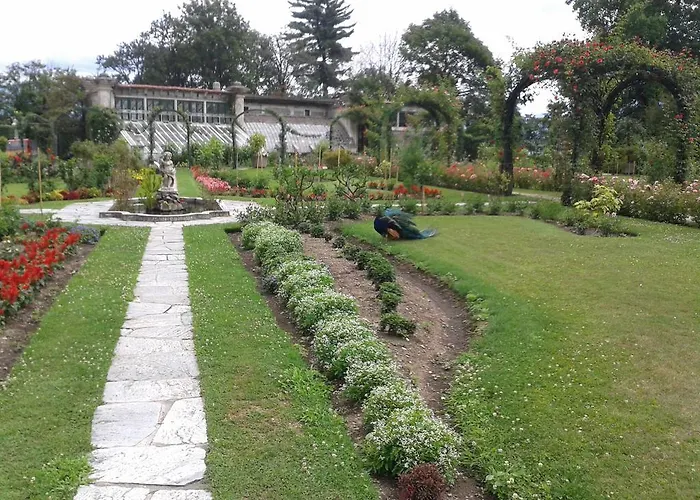 דירה La Gatta Viola *