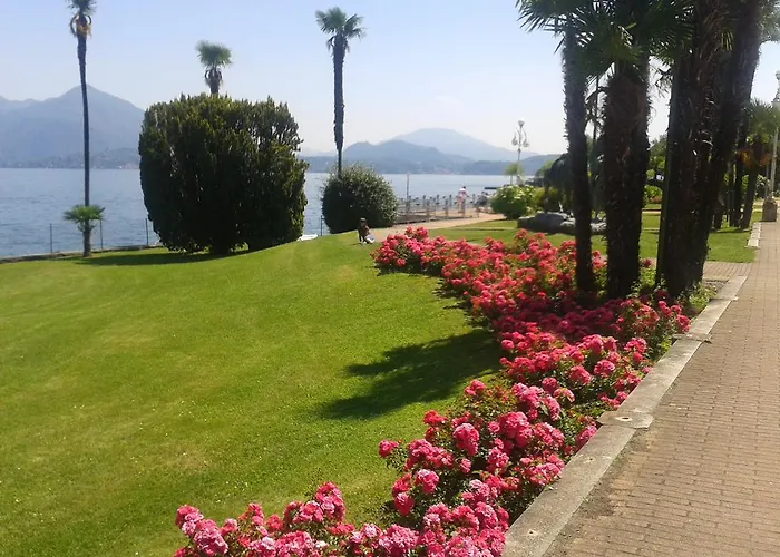 La Gatta Viola * Stresa